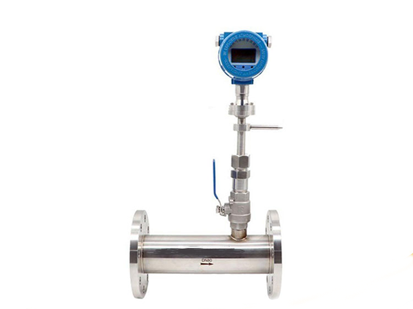 熱式氣體質量流量計